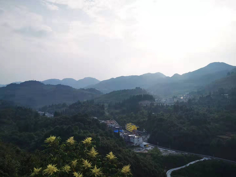 山景.png
